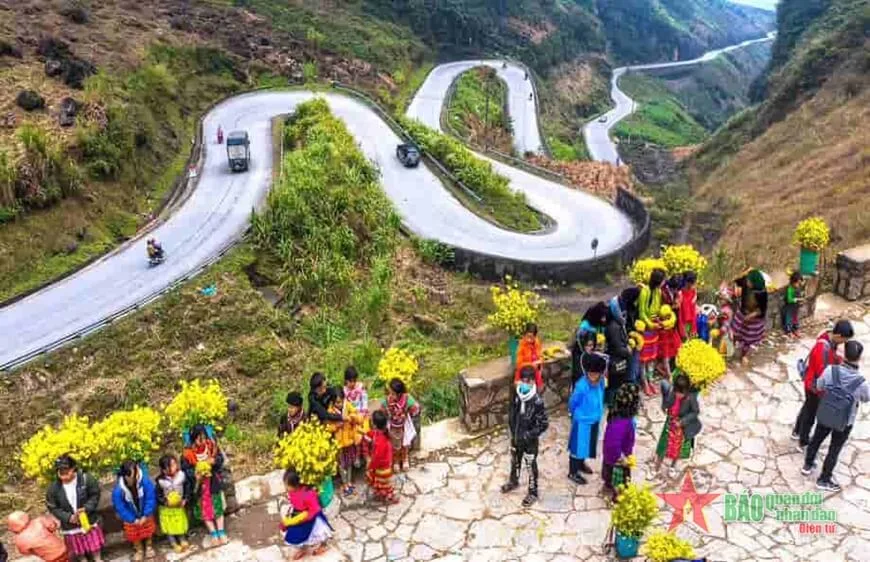 di_dong_tra_sau_Viettel